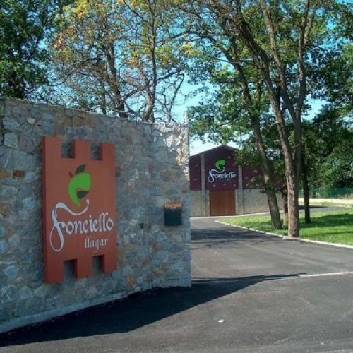 lagar Fonciello