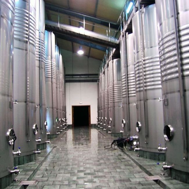 procesos de elaboración de la sidra