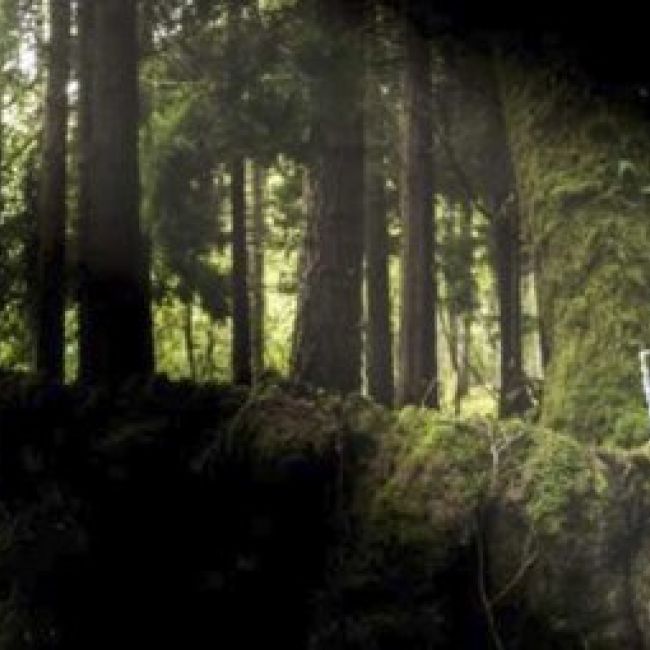 Llagar de sidra artesanal Fuenciello